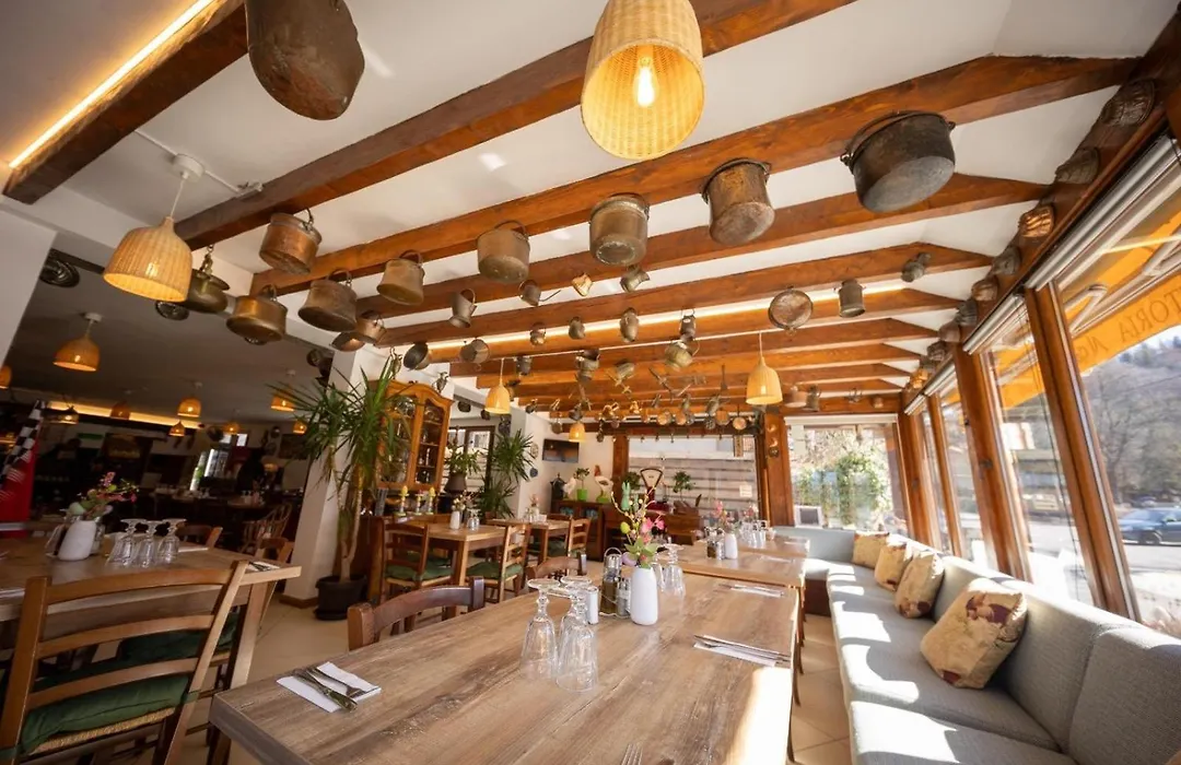 Pensiunea Restaurant Al Gallo-1